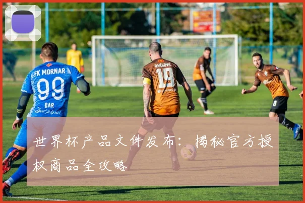 世界杯产品文件发布:揭秘官方授权商品全攻略